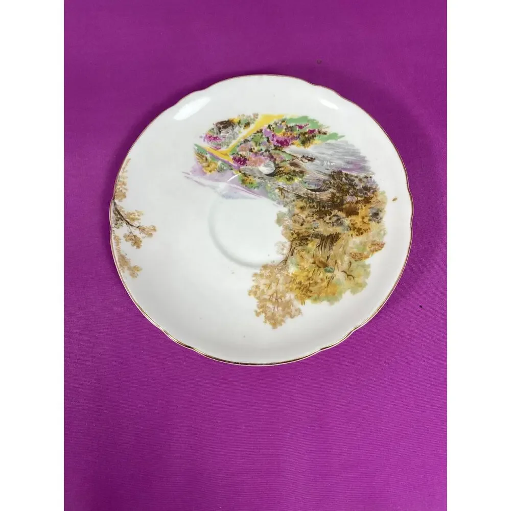 Vintage Shelley England Fine Bone China Heather Landscape 13419 Cup Saucer Set